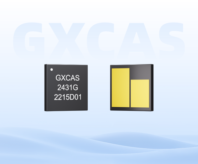 GX2431 产品图片